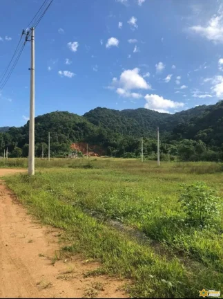 Imagem Vendo lote documentado no Jardim Tropical - Estufa 2