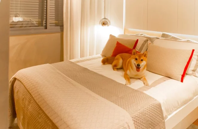 Imagem APARTAMENTO RESIDENCIAL em São Paulo - SP, Vila Mascote