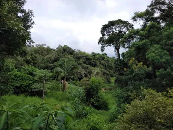 Imagem vende - sítio na região de Cabreúva-sp