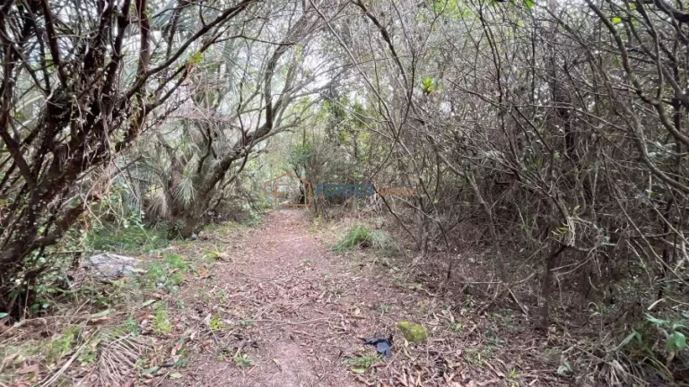 Imagem Fortes Imóveis Vende Terreno no Condomínio Jardim da Lagoa