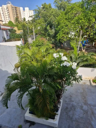 Imagem Casa com 5 quartos, 755m2, à venda em Salvador, Itaigara