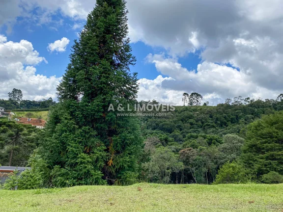 Imagem Lote em Campos do Jordão | 1.111,52 m² | Vista para o Vale