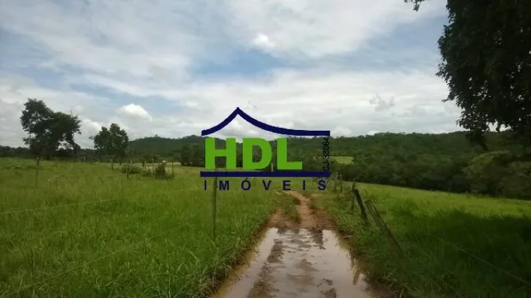 Imagem FAZENDA 38,5 ALQS TRIPLA APTIDÃO MUITA ÁGUA EM PIRACANJUBA - GO.