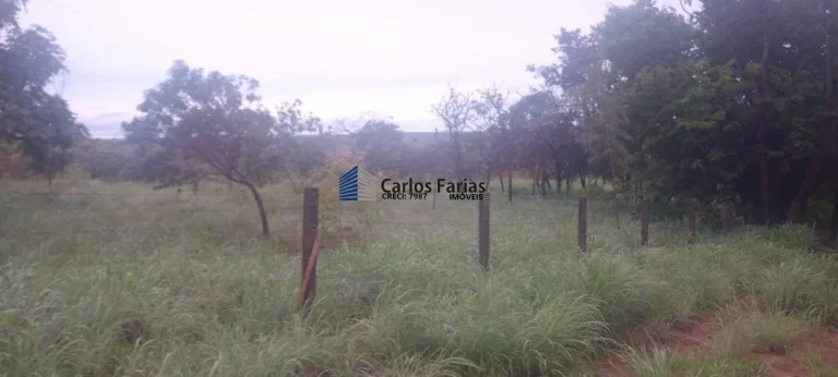 Imagem Chácara para Venda em Brasília, Setor Habitacional Tororó (Jardim Botânico), 1 dormitório, 1 banheiro, 2 vagas