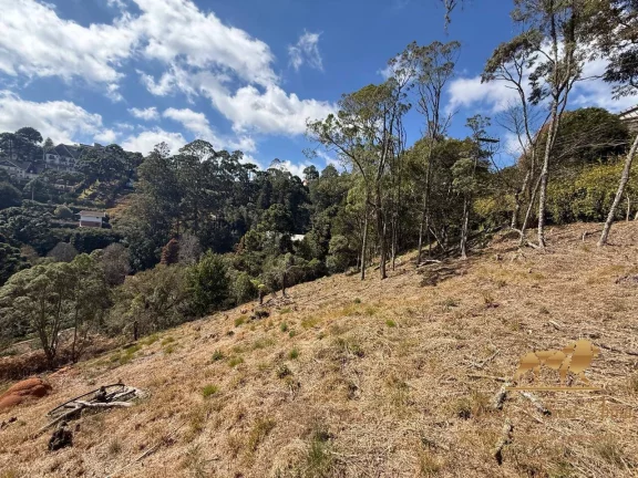 Imagem Terreno á venda em Campos do Jordão-SP