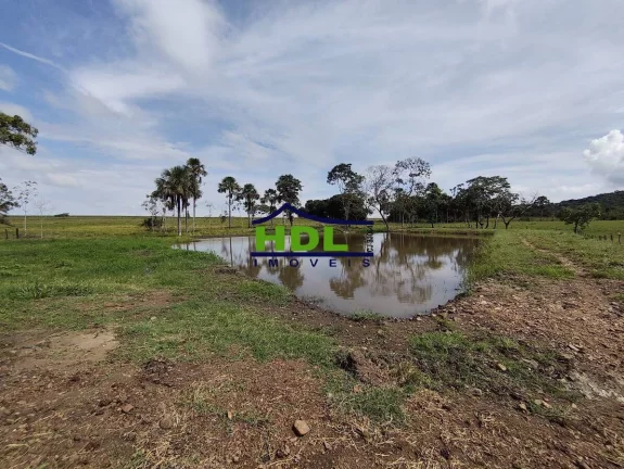 Imagem Chácara com 5 alqs Rica em Água 115 kms de Goiânia