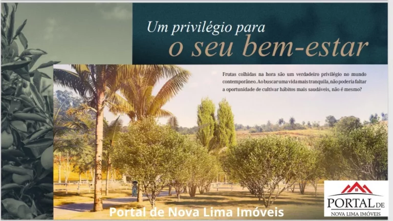 Imagem Área de 20.000 m² a venda em condmínio Fechado. - Lagoa, Quadra, Pista para Cavalo e muito mais para você e sua família