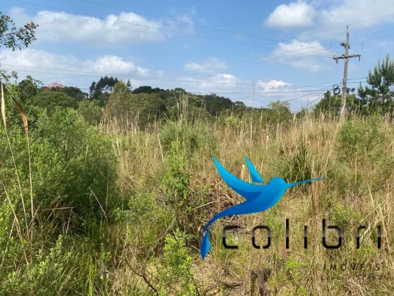 Imagem Terreno à Venda, 730 m² em Quatro Pinheiros - Mandirituba