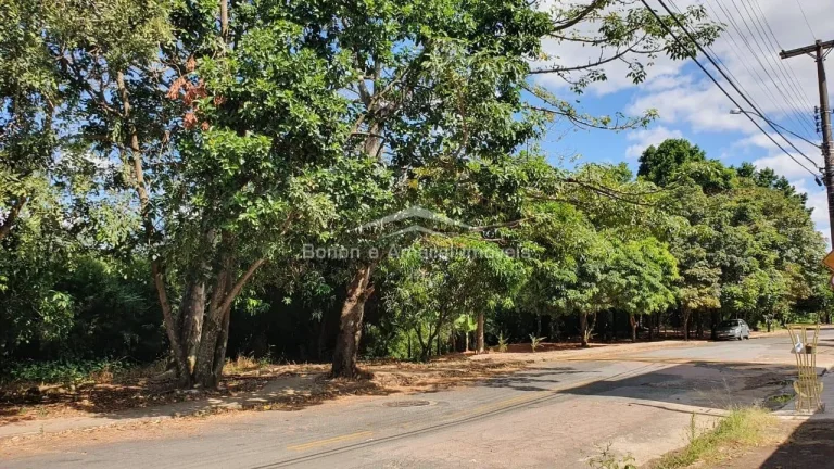 Imagem TERRENOS A VENDA NO BAIRRO ANTONIO VON ZUBEN

ZONEAMENTO 1 COM MACRO ZONEAMENTO
TERRENO DE 250M2 COM...