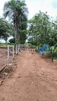 Imagem Chácara à venda à apenas 4 Km de Santo Antônio da Barra-GO, Setor Central: 5 quartos, 1 sala. Imperdível oportunidade!
