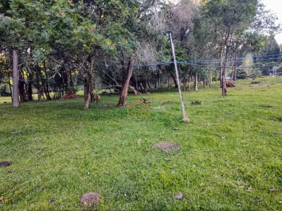 Imagem CHACARA RURAL em CAMPO BELO DO SUL - SC, Interior