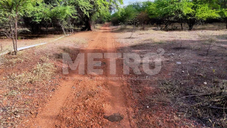 Imagem Chácara à venda na Estrada das Pedrinhas com 18.1ha, PETROLINA - PE