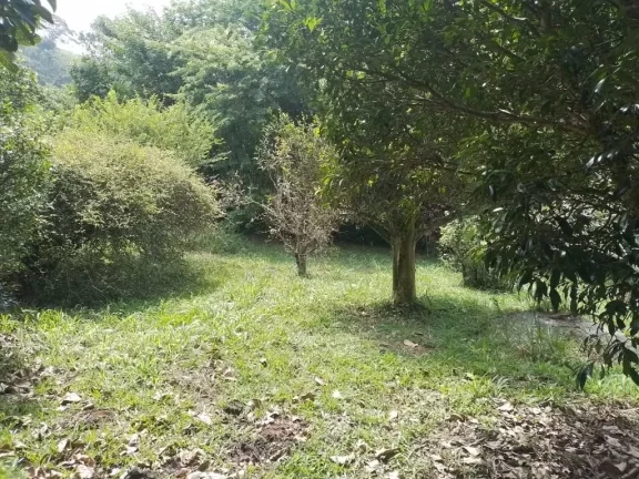 Imagem Chácara com 4 dormitórios à venda, 6024 m² por R$ 1.400.000,00 - Jardim Três Américas - Suzano/SP