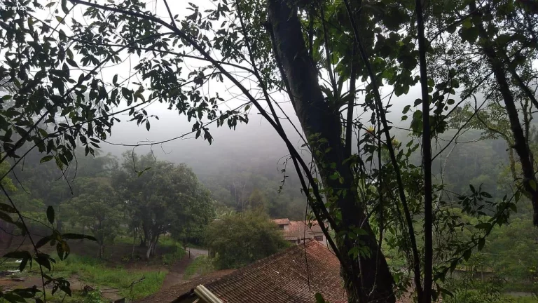 Imagem Chácara para Venda em Ribeirão Pires, Somma, 4 dormitórios, 1 banheiro, 10 vagas