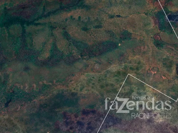 Imagem Fazenda à Venda, 17.000 m² em Zona Rural - Alto Parnaíba