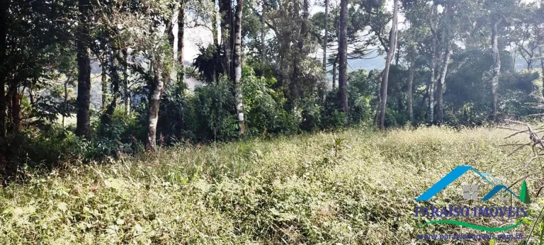 Imagem Terreno Exuberante no Bairro Campestre, Gonçalves – Serra da Mantiqueira