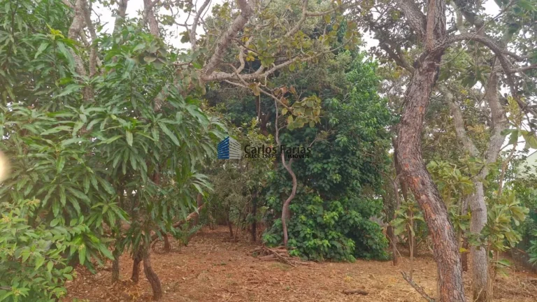 Imagem Lote em Condomínio Fechado para Venda em Brasília, PARANOA