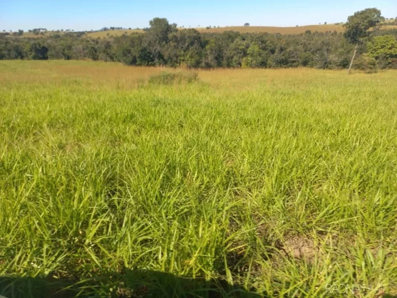 Imagem Fazenda à Venda, 10.000.000 m² em Zona Rural - Camapuã