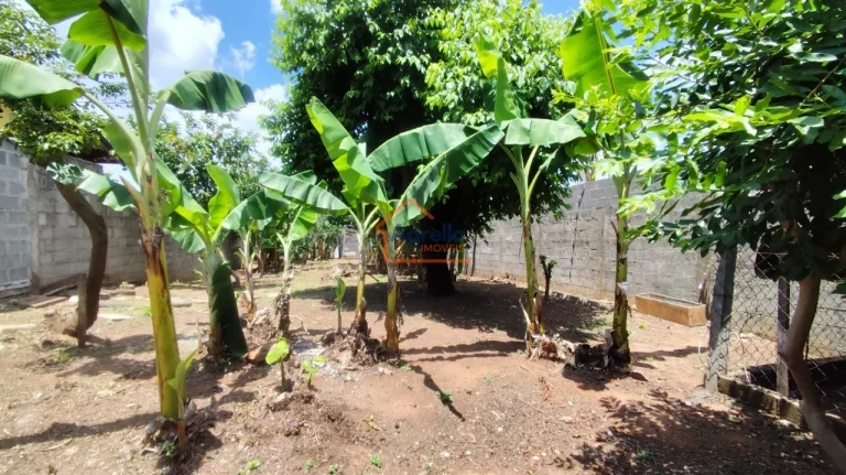 Imagem Terreno à venda no bairro Parque da Imprensa - Mogi Mirim/SP