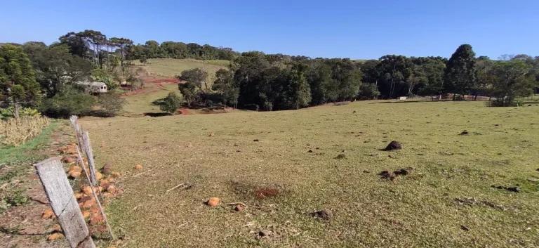 Imagem Chácara à venda em Cascavel - Área Rural com Energia Elétrica e Rio