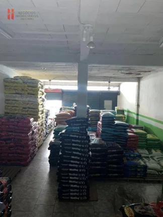 Imagem Terreno com 360m² c/ 2 Lojas, 3 Casas e 1 Quitinete no Pq Paulista.
