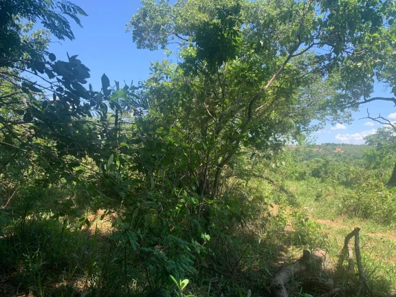 Imagem ÁREA DE 2 HECTARES , EM JUATUBA! IDEAL PARA CONSTRUTORES.