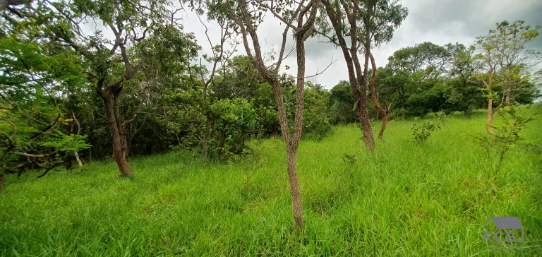 Imagem AREA RURAL em ESMERALDAS - MG, ANDIROBA
