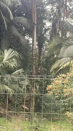 Imagem Chacara em Garuva