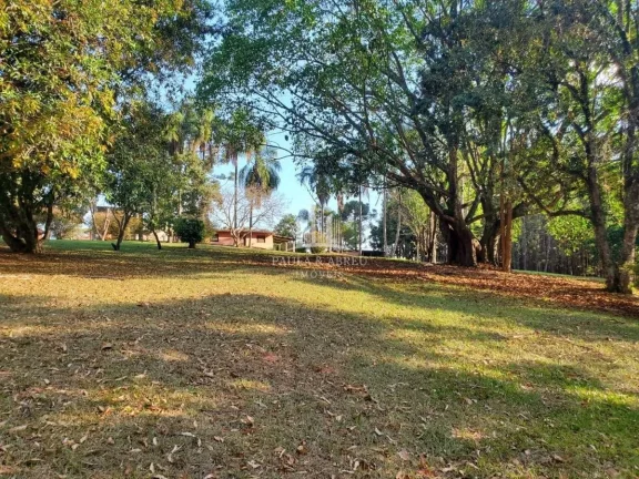 Imagem Sitio de 56.720m² 3 Dorms, 1 Suíte, Escritura, nascente, Piscina, 1 ha com Pinos 15 anos, Poço Semi-Artesiano(2.000l/h), 350 mts de testada, Alambrado, em Bragança Paulista