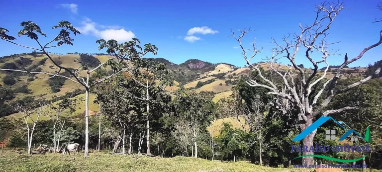 Imagem Terreno a venda em Gonçalves com vista para a Pedra do Baú.