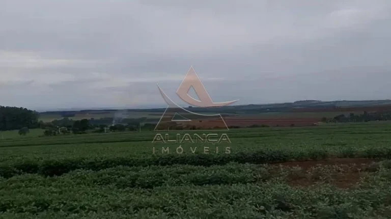Imagem Fazenda - Casa Branca - Zona Rural
