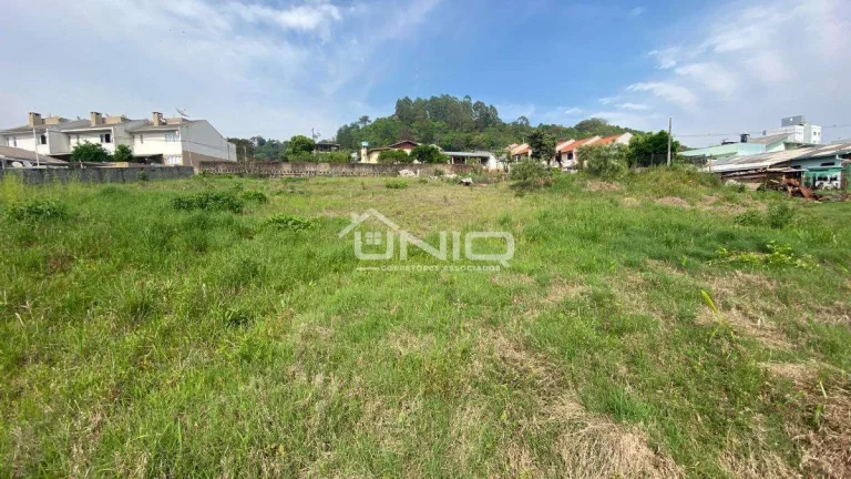 Imagem Terreno Urbano Francisco Beltrão