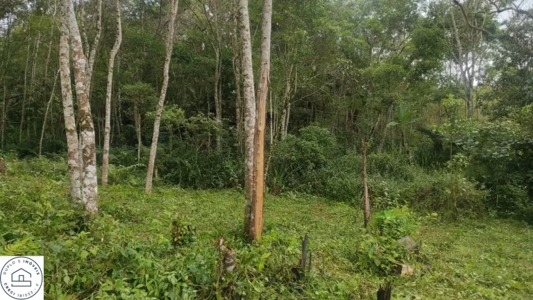 Imagem Terreno em Sao Paulo / Parelheiros / Bairro Embura / Travessa estrada marsilac.