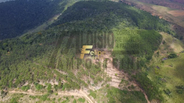 Imagem Vende-se uma incrível Fazenda de 80 alqueires, localizada a apenas 80 km de Colatina!