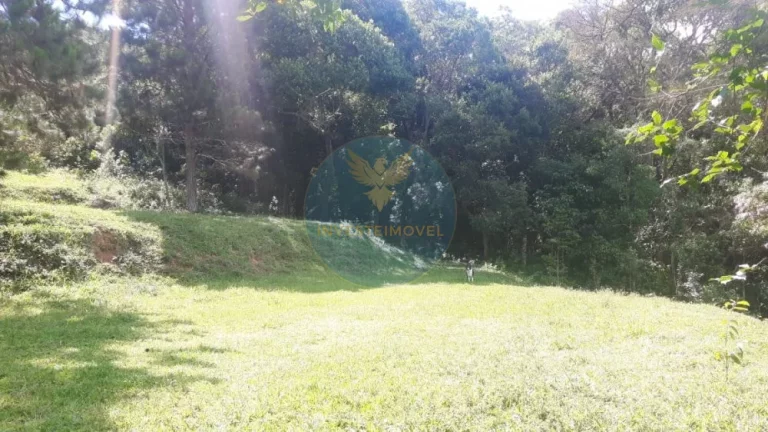 Imagem Sítio a Venda no bairro Carmo Messias - Ibiuna, SP