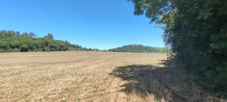 Foto do imóvel: Chácara à venda em Cascavel - São Salvador - Lavoura e Rio