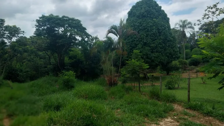 Imagem TERRENO SUPER BATATO NO BOM JARDIM COM ESCRITURA