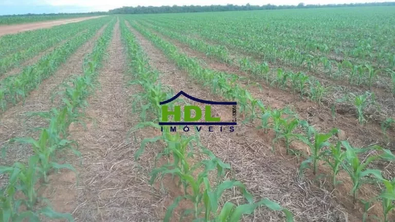 Imagem Fazenda 8.107 Alqs dupla aptidão Confresa MT