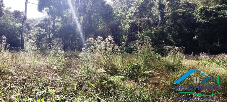Imagem Terreno Exuberante no Bairro Campestre, Gonçalves – Serra da Mantiqueira