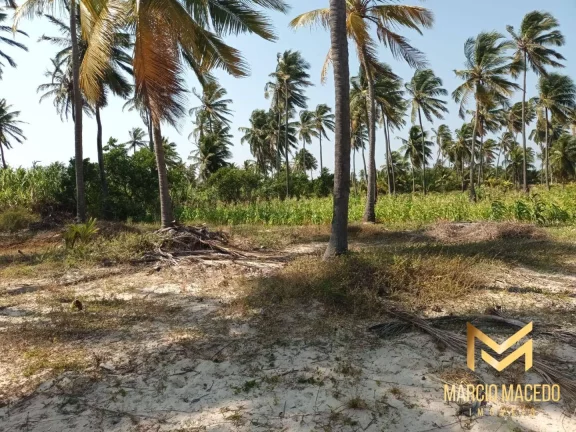 Imagem Terreno à venda, 18615 m² por R$ 3.600.000 - Ilha do Guajiru - Trairi/CE