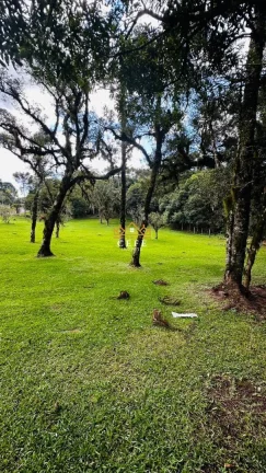 Imagem Chácara - Sítio com 3 Dormitorio(s) localizado(a) no bairro Vila Mina em Canela / RIO GRANDE DO SUL Ref.:1562