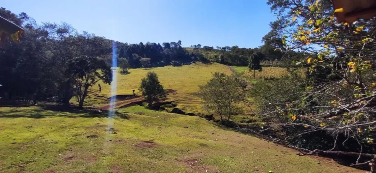 Imagem Chácara à venda em Cascavel - Área Rural com Energia Elétrica e Rio