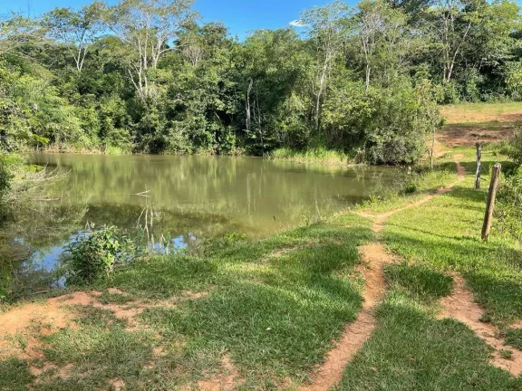 Imagem Fazenda à Venda – 117,3 Hectares em Luziânia-GO