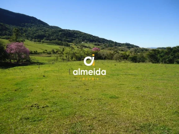 Imagem Chácara 3 dormitórios à venda Zona rural Restinga Seca/RS