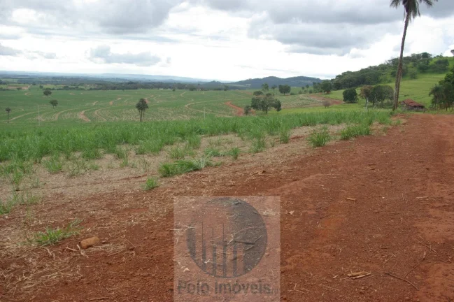 Imagem Fazenda em Cajuru 65,2254 alqueires com 35 alqueires em cana - a 78 km de Ribeirão Preto - SP sentido Casa Branca