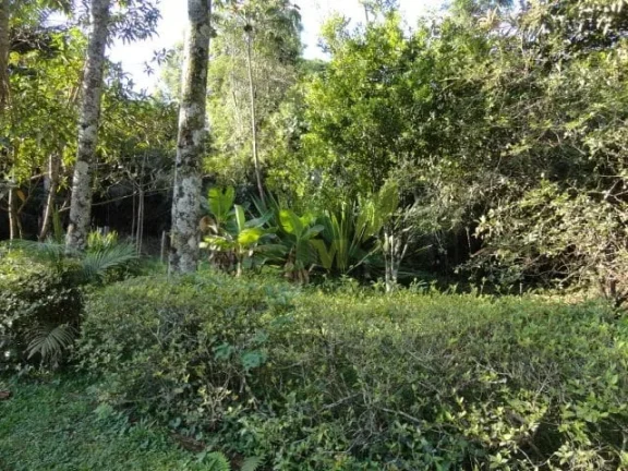 Imagem Sítio Sereno em Piracaia 35 Mil m² de Pura Natureza com Riacho e Cachoeira