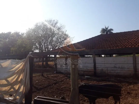 Imagem Fazenda - Cajuru - Zona Rural
