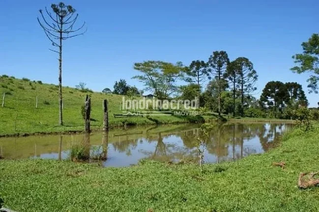 Imagem Chácara à venda 529000M², Zona Rural, Tijucas do Sul - PR