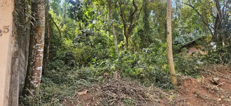 Imagem TERRENO RESIDENCIAL em Mairiporã - SP, Jundiaizinho