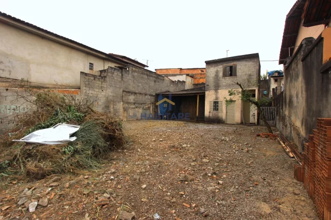 Imagem Excelente lote no Citrolândia.